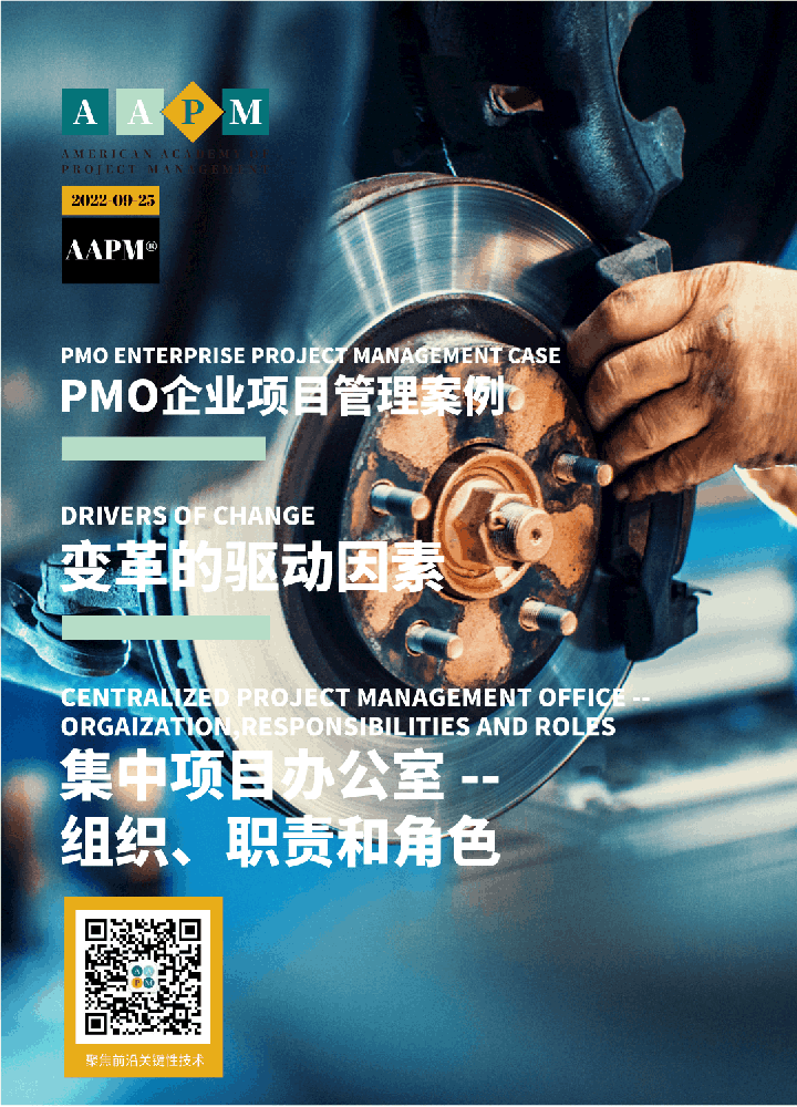 PMO企业项目管理案例