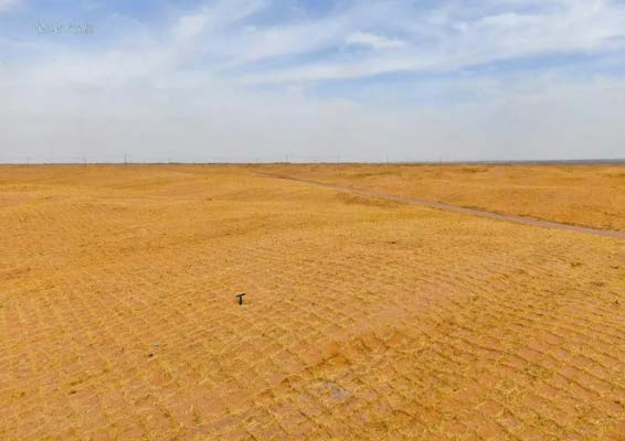 AAPM绿色项目管理卓越实践 | 乌兰布和沙漠综合治理工程 AAPM绿色项目管理卓越实践 | 乌兰布和沙漠综合治理工程